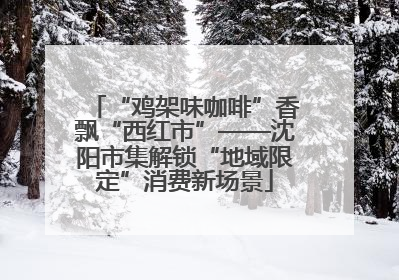 “鸡架味咖啡”香飘“西红市”——沈阳市集解锁“地域限定”消费新场景
