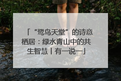 “鹭鸟天堂”的诗意栖居：绿水青山中的共生智慧丨有一说一