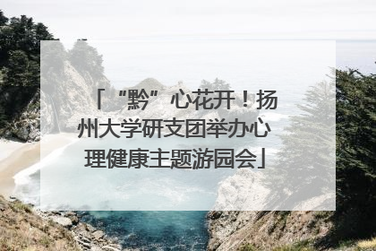 “黔”心花开！扬州大学研支团举办心理健康主题游园会