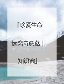 珍爱生命 远离毒蘑菇｜知识窗