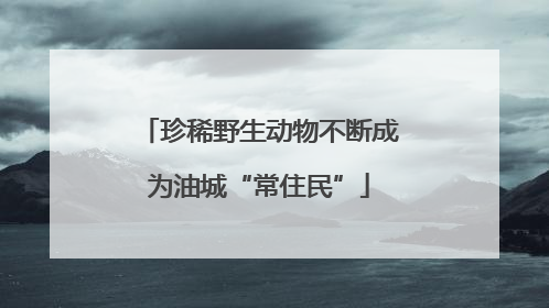 珍稀野生动物不断成为油城“常住民”