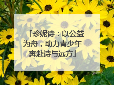 珍妮诗：以公益为舟，助力青少年奔赴诗与远方