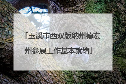 玉溪市西双版纳州德宏州参展工作基本就绪