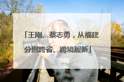 王刚、蔡志勇，从福建分别跨省、跨境履新