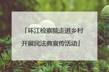 环江检察院走进乡村开展民法典宣传活动
