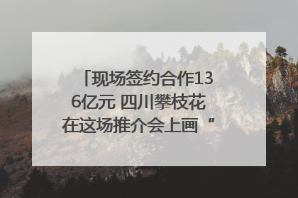现场签约合作136亿元 四川攀枝花在这场推介会上画“图谱”列“清单”