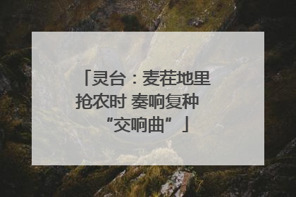 灵台：麦茬地里抢农时 奏响复种“交响曲”
