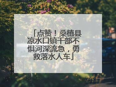 点赞！桑植县凉水口镇干部不惧河深流急，勇救落水人车