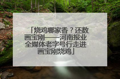 烧鸡哪家香？还数画宝刚——河南报业全媒体老字号行走进画宝刚烧鸡
