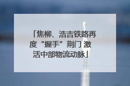 焦柳、浩吉铁路再度“握手”荆门 激活中部物流动脉