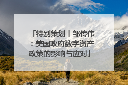 特别策划丨邹传伟：美国政府数字资产政策的影响与应对