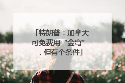 特朗普：加拿大可免费用“金穹”，但有个条件