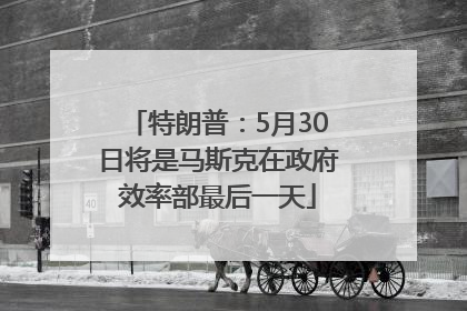 特朗普：5月30日将是马斯克在政府效率部最后一天