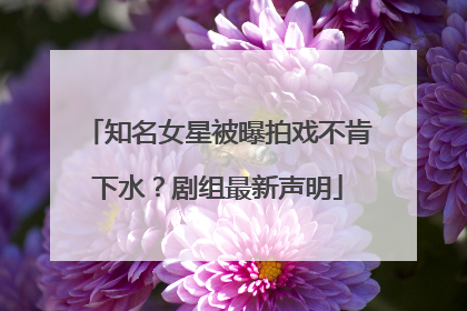 知名女星被曝拍戏不肯下水？剧组最新声明