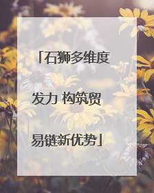 石狮多维度发力 构筑贸易链新优势