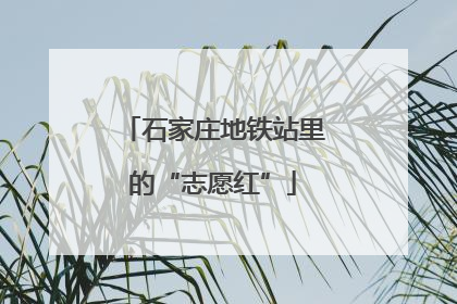 石家庄地铁站里的“志愿红”