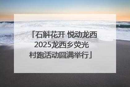 石斛花开 悦动龙西 2025龙西乡荧光村跑活动圆满举行