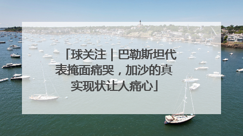球关注｜巴勒斯坦代表掩面痛哭，加沙的真实现状让人痛心