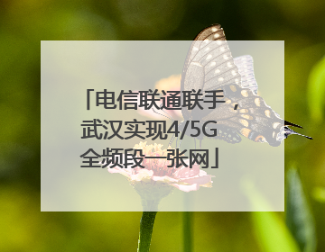 电信联通联手，武汉实现4/5G全频段一张网