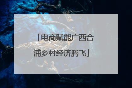 电商赋能广西合浦乡村经济腾飞