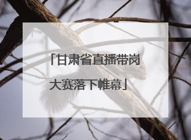 甘肃省直播带岗大赛落下帷幕