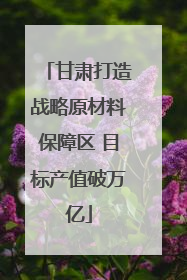 甘肃打造战略原材料保障区 目标产值破万亿