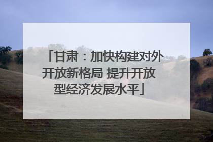 甘肃：加快构建对外开放新格局 提升开放型经济发展水平