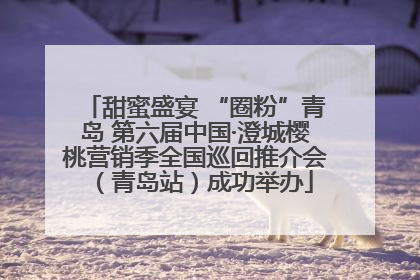 甜蜜盛宴 “圈粉”青岛 第六届中国·澄城樱桃营销季全国巡回推介会（青岛站）成功举办