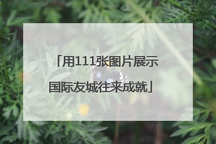 用111张图片展示国际友城往来成就