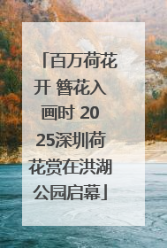 百万荷花开 簪花入画时 2025深圳荷花赏在洪湖公园启幕