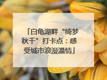 白龟湖畔“绮梦秋千”打卡点：感受城市浪漫温情