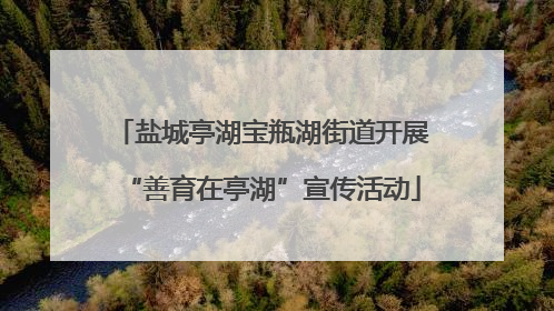 盐城亭湖宝瓶湖街道开展“善育在亭湖”宣传活动