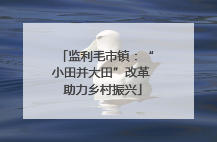 监利毛市镇：“小田并大田”改革 助力乡村振兴