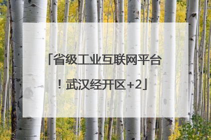 省级工业互联网平台！武汉经开区+2