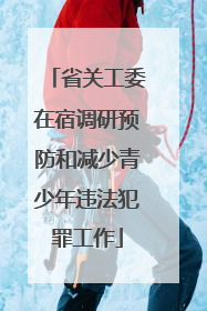 省关工委在宿调研预防和减少青少年违法犯罪工作