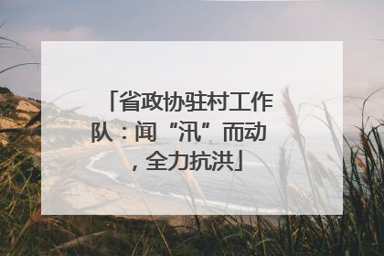 省政协驻村工作队：闻“汛”而动，全力抗洪