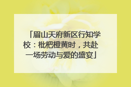 眉山天府新区行知学校：枇杷橙黄时，共赴一场劳动与爱的盛宴