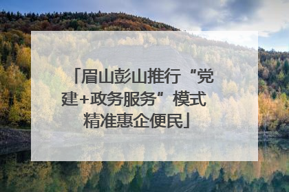眉山彭山推行“党建+政务服务”模式 精准惠企便民