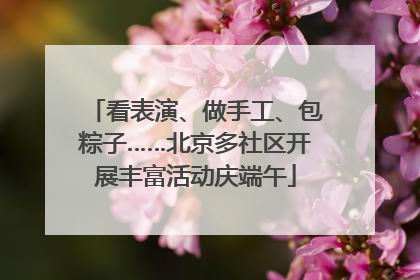 看表演、做手工、包粽子……北京多社区开展丰富活动庆端午