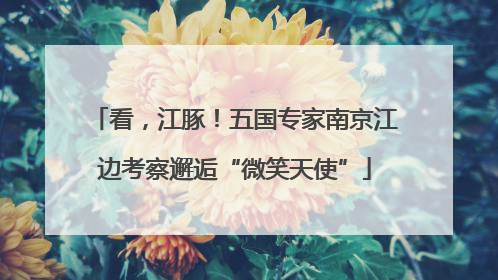 看，江豚！五国专家南京江边考察邂逅“微笑天使”