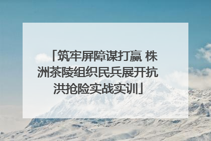 筑牢屏障谋打赢 株洲茶陵组织民兵展开抗洪抢险实战实训