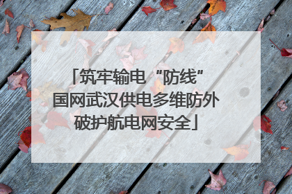 筑牢输电“防线” 国网武汉供电多维防外破护航电网安全