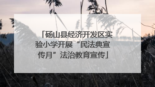 砀山县经济开发区实验小学开展“民法典宣传月”法治教育宣传