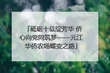 砥砺十载绽芳华 侨心向党同筑梦——元江华侨农场蝶变之路