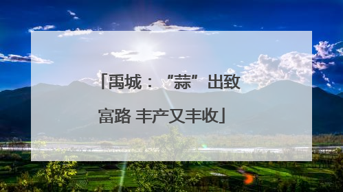 禹城：“蒜”出致富路 丰产又丰收