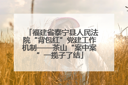 福建省泰宁县人民法院“背包红”党建工作机制——茶山“案中案”一揽子了结
