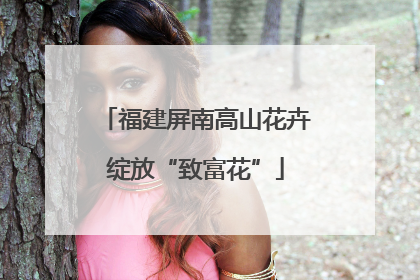 福建屏南高山花卉绽放“致富花”