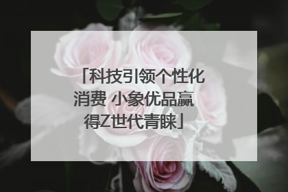 科技引领个性化消费 小象优品赢得Z世代青睐