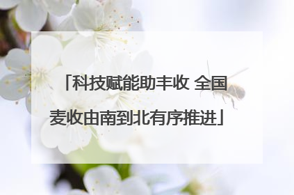 科技赋能助丰收 全国麦收由南到北有序推进