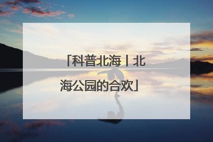 科普北海丨北海公园的合欢